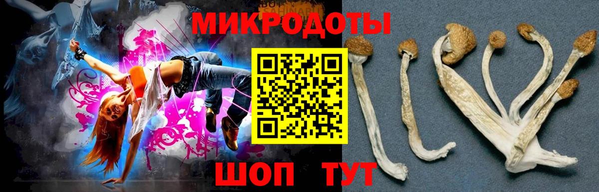 Псилоцибиновые грибы мухоморы Новочеркасск